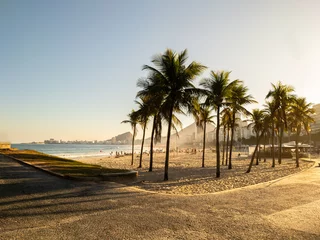 Fototapete Copacabana, Rio de Janeiro, Brasilien Sunset view at Leme beach with coconut trees in Rio de Janeiro Brazil