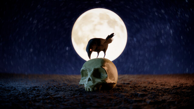 Crow sits on a skull 3d. Raven, crow, skull, halloween, spooky, moon, night 