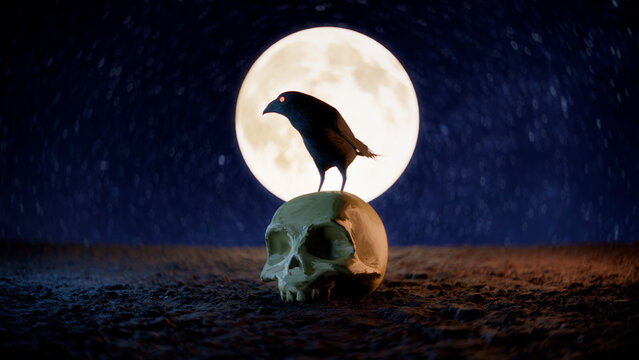 Crow sits on a skull 3d. Raven, crow, skull, halloween, spooky, moon, night 
