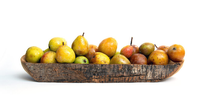 eine Schale voll Speierlinge