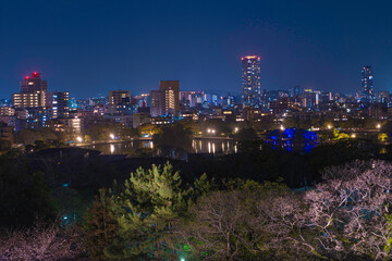 福岡城の天守台から望む夜景