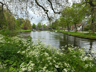 City canal and wildflowers on cloudy day