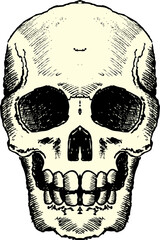 Human Skull Drawing Symbol