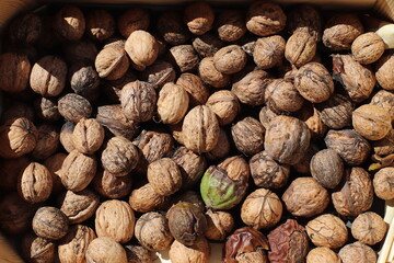 Nueces de temporada
Setiembre
Detalle
