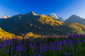 Landscape near Col du Petit-Saint-Bernard with Mont Blanc, on border France and Italy