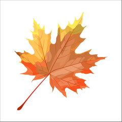 maple leaf illustration vector isolated on white 
