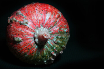 Zucca di halloween