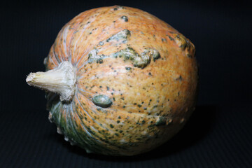 Zucca di halloween