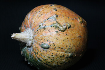 Zucca di halloween