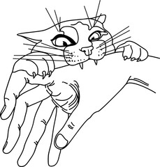 angry cat bites a man's hand, vector drawing