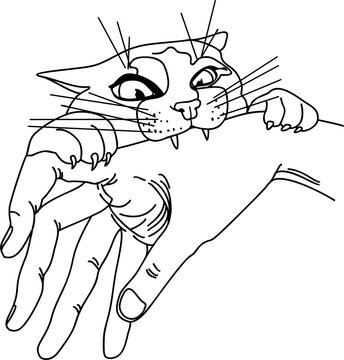 angry cat bites a man's hand, vector drawing