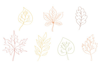 Cartoon collection of autumn leaves hand drawn line