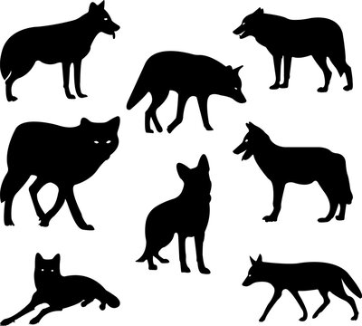 set bundle silhouette wolf illustration