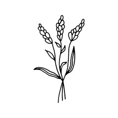Vector.Botany.Line art.Minimalism.Flower.Doodle.Twig.Logo.Beauty.Fashion.Style.Plant.Illustration.On a White Background.Print for Web Design.Print.Cosmetics.Advertising.Beauty Salon.Tenderness.print.
