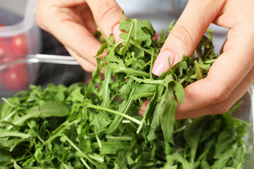 Woman putting arugula into container, closeup. Food storage