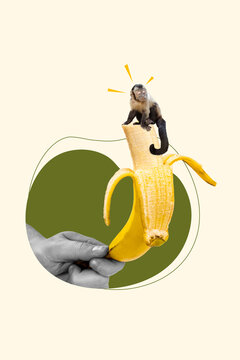 Vertical collage image of cute mini monkey sit big black white effect arm hold banana fruit isolated on painted background