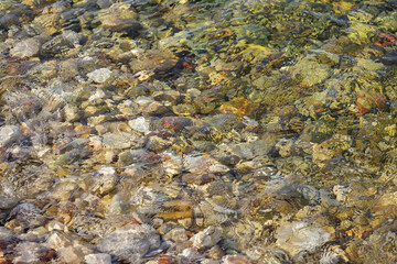 Sea stones in the sea water - 652356117