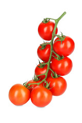 Branch of red ripe cherry tomatoes isolated on white