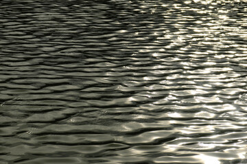 Water waves on the fish pond due to the wind. Water background texture 