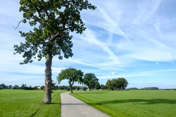 Foto auf Leinwand Oude molenweg, Doornspijk, Gelderland province © Holland-PhotostockNL