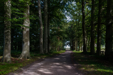 Zwaluwenburg, 't Harde, Gelderland