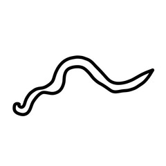 Fototapeta premium parasite worm pest animal