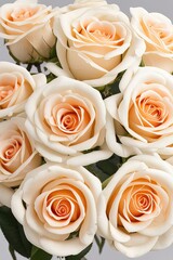 Beautiful floral background of white roses