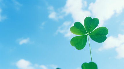 空とクローバー、背景