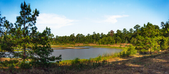 Fototapeta premium Panoramic of a pond along the Spring Creek Nature Trail