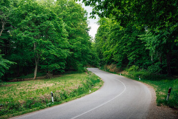 A beautiful paved road with s-turns through a dense green forest, passing through the Fruska Gora National Park in Serbia. Background for a auto and moto trip with copy space