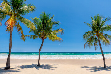 Sunny tropical beach with coconut palms on white sand and turquoise sea. Summer vacation and tropical beach concept. - 652366595