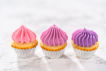 Mini Vanilla Cupcakes with Pink Buttercream Frosting