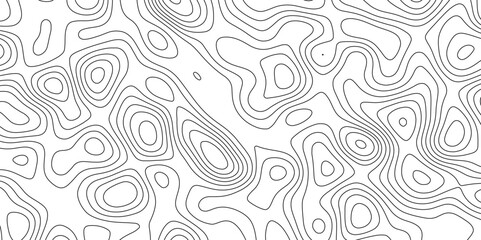 Topographic map background. Modern design with White background with topographic wavy pattern design.