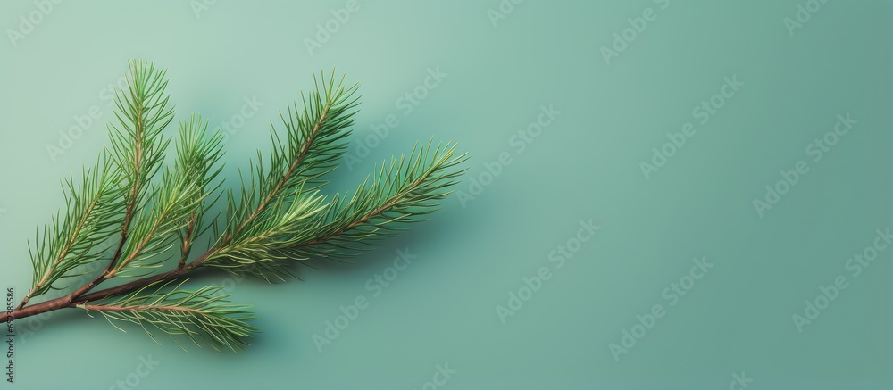 Poster isolated isolated pastel background copy space with green pine branch