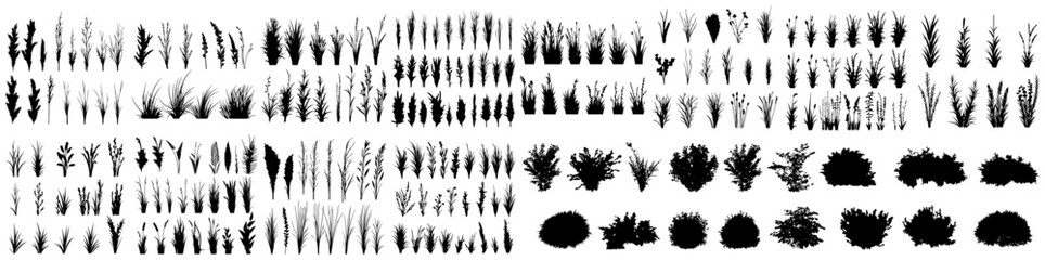 set of bush grass shrub herb silhouette vector transparent background eps 10