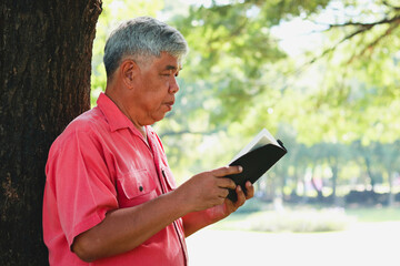Fototapeta premium An elderly Asian man leans against a large tree reading a book in the garden. Living in retirement. copy space