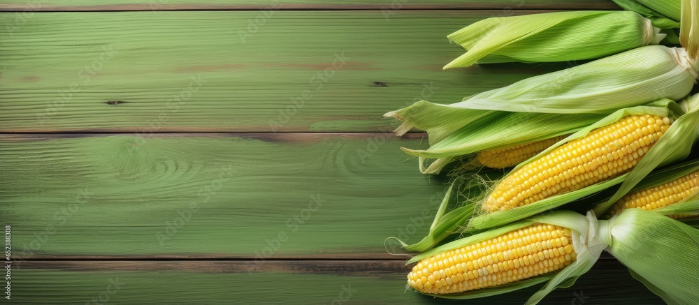 Poster Top view of fresh corn on cobs displayed on a rustic wooden table with a green towel and copy space framed isolated pastel background Copy space
