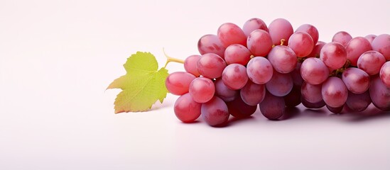 Fototapeta premium Red grape on a isolated pastel background Copy space