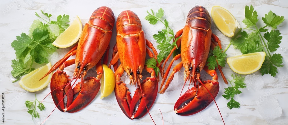 Poster three lobsters on a white table with garnish in sunlight isolated pastel background copy space