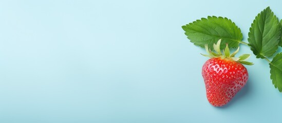 Strawberry leaf on a isolated pastel background Copy space without any other objects around it