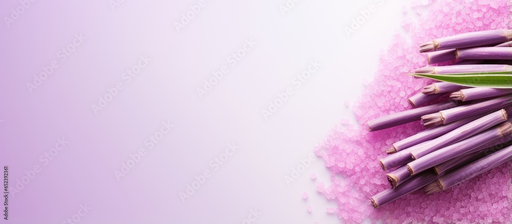 Aufkleber purple sugar cane segment background with copyspace isolated pastel background copy space
