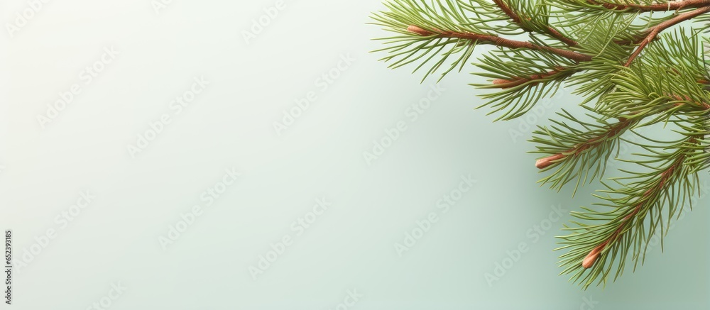 Poster isolated isolated pastel background copy space with green pine branch