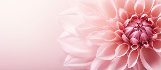 Stunning neutral colors capture the beauty of flowers in natural settings isolated pastel background Copy space