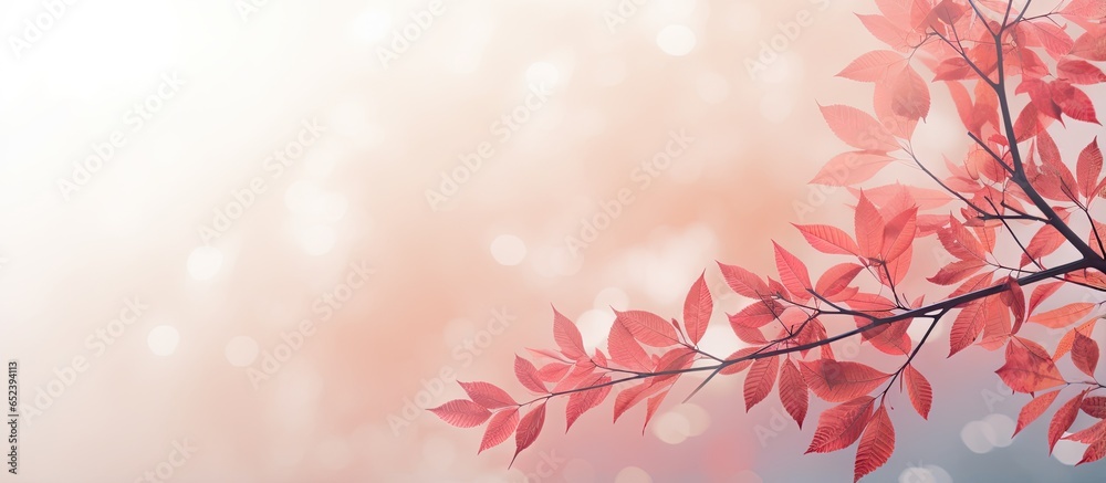 Poster background with blurred red leaf shoots isolated pastel background copy space