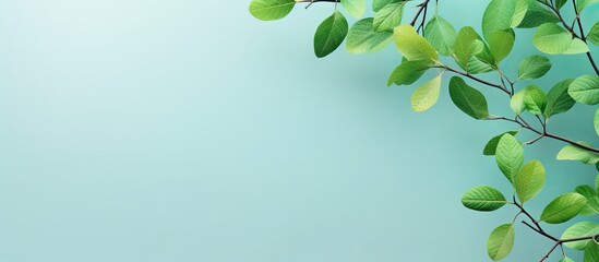Green leaves on a isolated pastel background Copy space