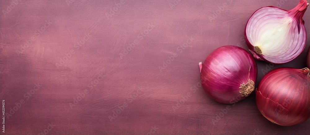 Poster onion that is red isolated pastel background copy space