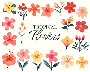 Tropical vector flowers. Floral illustration. Set of exotic flowers. Tropical collection