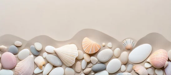  Texture and shells on a beach with white stones isolated pastel background Copy space © vxnaghiyev