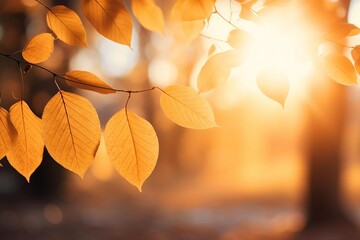 Sunlit Autumn Branch: Poetcore Beauty in Dark Orange and Light Bronze with Sunlights - obrazy, fototapety, plakaty