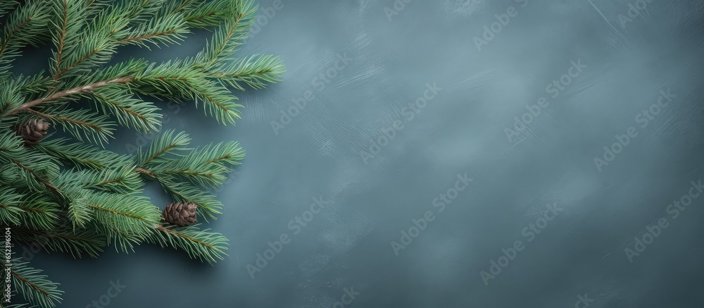 Poster a christmas tree branch in a studio photograph isolated pastel background copy space